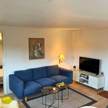 Nyaraló Lk2203-lokken-redningsvejen-syd-43 Grønhøj