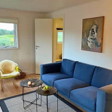 Nyaraló Lk2203-lokken-redningsvejen-syd-43 Grønhøj